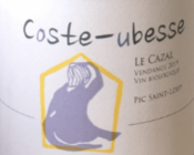 PIC ST LOUP - ROUGE - 14,40 % - CAZAL - LANGUEDOC - 75CL