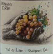 SAUVIGNON GRIS - FIE GRIS - 12,5% - 75CL - DOMAINE COCHE - IGP VAL DE LOIRE - BLANC