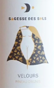 PINEAU D'AUNIS - ROUGE - VIN DE FRANCE- 11,5% - 75CL - SAGESSE DES SOLS (49)