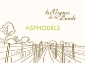 ASPHODELE - BLANC - FLOREAL - QUESTEMBERT 56 - LES VIGNES DE LA LANDE - 11%